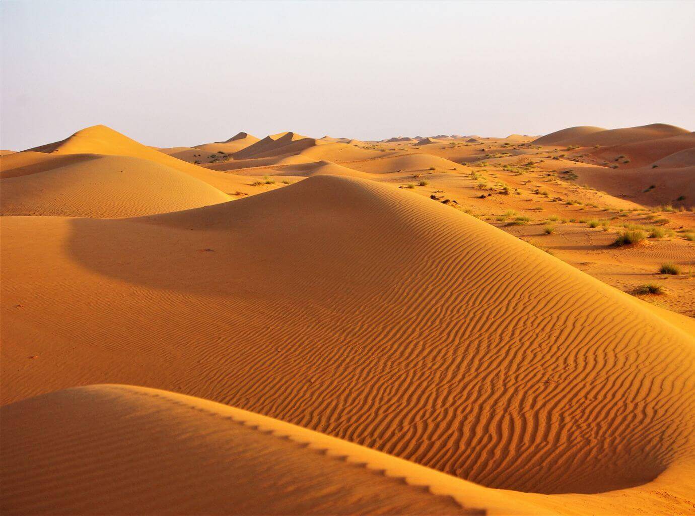The Wahiba sands dunes