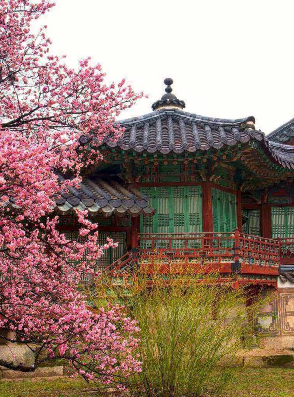 Changdeokgung Palace Seoul South Korea