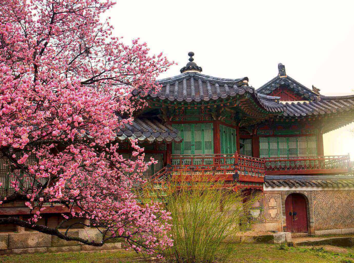 Changdeokgung Palace Seoul South Korea