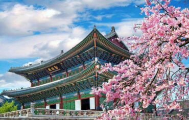 Cherry blossoms in spring Seoul South Korea