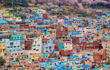 Gamcheon Culture Village and Sakura flowers Busan South Korea