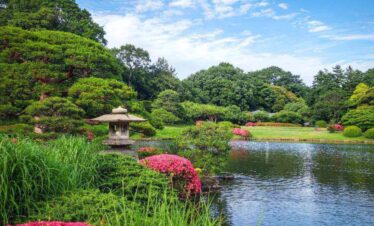 Shinjuku Gyoen Garden Tokyo