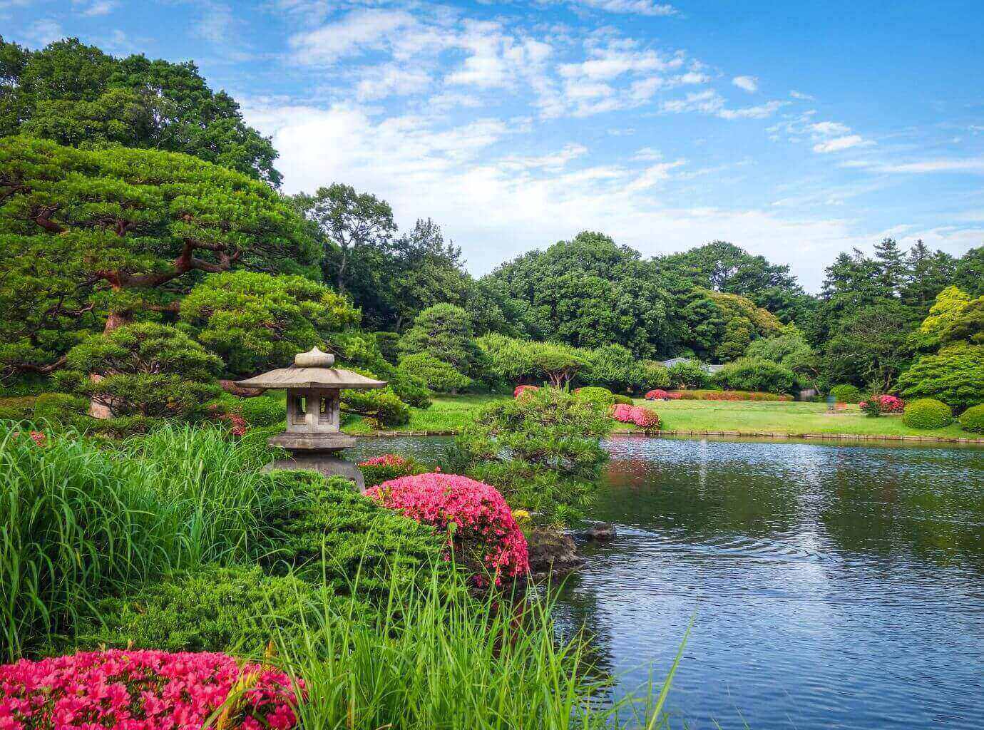 Shinjuku Gyoen Garden Tokyo