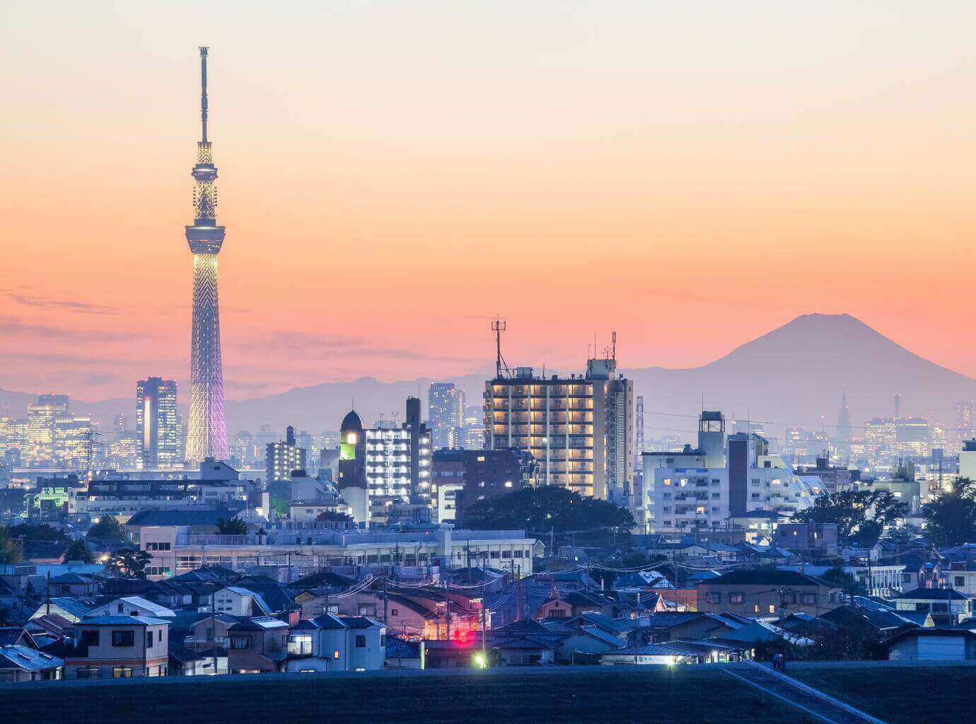 City view with Skytree and Mountain Fuji, Tokyo