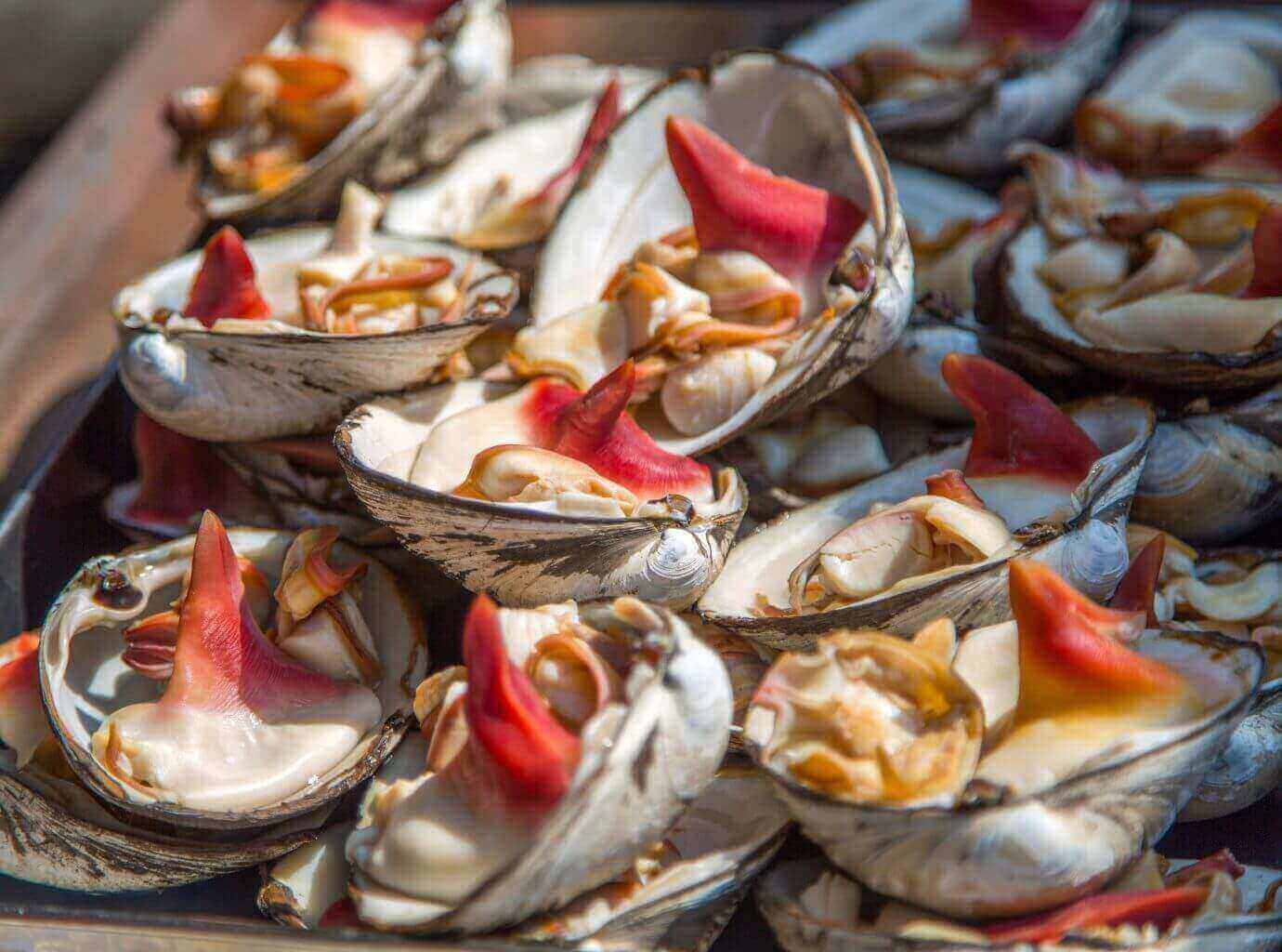Tsukiji Fish Market in Tokyo